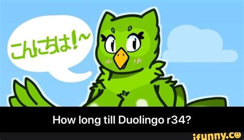 duolingo r34|Duolingo